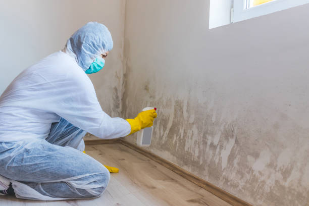 Mold Remediation specialist working in Sperryville