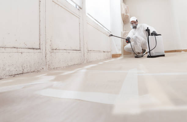 Black mold remediation team in Sperryville